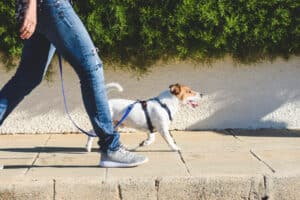 Man with deep vein thrombosis walking in Geneva, IL
